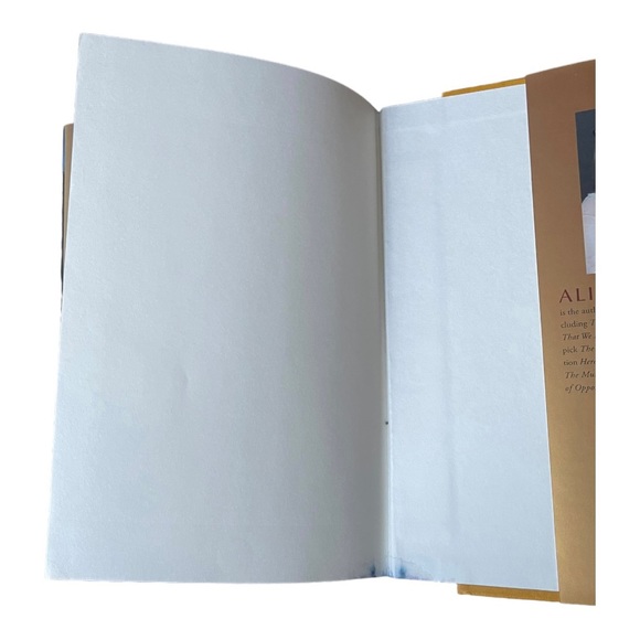 Alice Hoffman The Invisible Hour: A Novel Hardcover Book - Picture 6 of 10